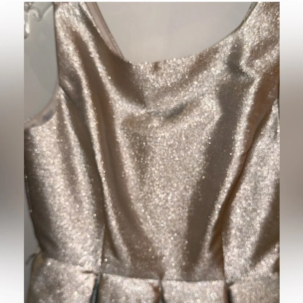 White House Black Market Champagne Glitter Cocktail Holiday NYE Dress Size 2 - Picture 13 of 15